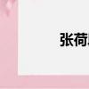 張荷段（關于張荷段介紹）