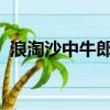浪淘沙中牛郎和織女指的是什么天上的星座