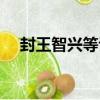 封王智興等詔（關于封王智興等詔簡介）