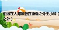 相遇在人海聚散在重逢之外王小帥(相遇在人海 聚散在重逢之外)