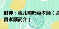 封神:我兒哪吒真孝順(關于封神:我兒哪吒真孝順簡介)