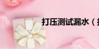 打壓測試漏水(打壓)