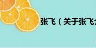 張飛(關于張飛介紹)