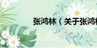 張鴻林(關于張鴻林介紹)