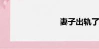 妻子出軌了