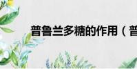 普魯蘭多糖的作用(普魯蘭多糖)