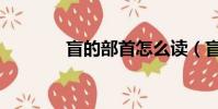 盲的部首怎么讀(盲的部首)
