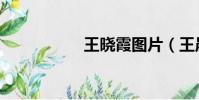 王曉霞圖片(王晨霞)