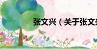 張文興(關于張文興介紹)