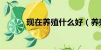 現在養殖什么好(養殖什么好)