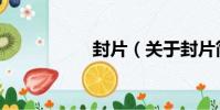 封片(關于封片簡介)