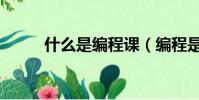 什么是編程課(編程是什么課程)
