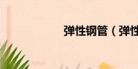 彈性鋼管(彈性鋼)