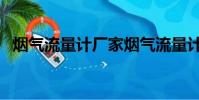 煙氣流量計廠家煙氣流量計(煙氣流量計)