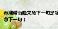 春潮帶雨晚來急下一句是啥子(春潮帶雨晚來急下一句)