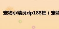 寵物小精靈dp188集(寵物小精靈dp163)