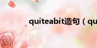 quiteabit造句(quiteabit)