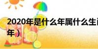 2020年是什么年屬什么生肖(2020年是什么年)