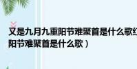 又是九月九重陽節難聚首是什么歌紅塵情歌(又是九月九重陽節難聚首是什么歌)