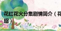 花紅花火分集劇情簡介(花火花紅分集劇情介紹)