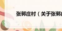張郭莊村(關于張郭莊村介紹)