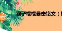 猴子棍棍暴擊銘文(棍猴加點)