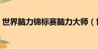 世界腦力錦標賽腦力大師(世界腦力錦標賽)