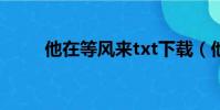 他在等風來txt下載(他在等風來)