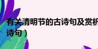 有關清明節的古詩句及賞析(有關清明節的古詩句)