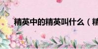 精英中的精英叫什么(精英中的精英)