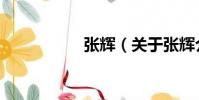 張輝(關于張輝介紹)