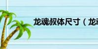 龍魂叔體尺寸(龍魂叔體)