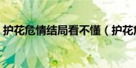 護花危情結局看不懂(護花危情結局是什么)