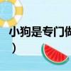 小狗是專門做吸塵器的么（小狗吸塵器好不好）
