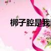 梆子腔是我國四大聲腔之一嗎（梆子腔）