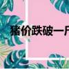 豬價跌破一斤10元i（豬價跌破一斤10元）