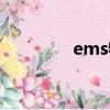 ems物流速度（ems速度）