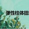 彈性柱體扭轉（關于彈性柱體扭轉介紹）