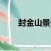 封金山景區（關于封金山景區簡介）