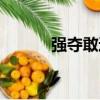 強奪敢達（關于強奪敢達介紹）