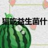 貓吃益生菌什么牌子好（益生菌什么牌子好）