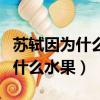蘇軾因為什么水果不辭長作領南人（蘇軾因為什么水果）