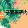 子囊孢子內胞（關于子囊孢子內胞介紹）