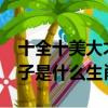 十全十美大才子是什么生肖?（十全十美大才子是什么生肖）