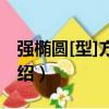 強橢圓[型]方程組（關于強橢圓[型]方程組介紹）