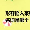 形容陷入某種情緒中行為迷亂的人 兩個字的名詞是哪個
