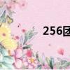 256團團歌歌詞（團歌歌詞）