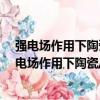 強電場作用下陶瓷/金屬擴散連接界面反應及機理（關于強電場作用下陶瓷/金屬擴散連接界面反應及機理介紹）