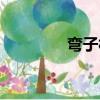 彎子村（關于彎子村介紹）