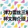 彈力蕾絲三角軟杯文胸（關于彈力蕾絲三角軟杯文胸介紹）